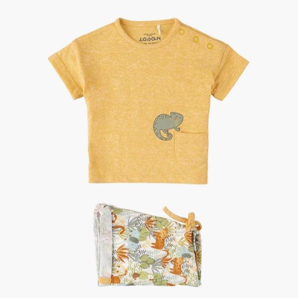 Conjunto Losan Safari