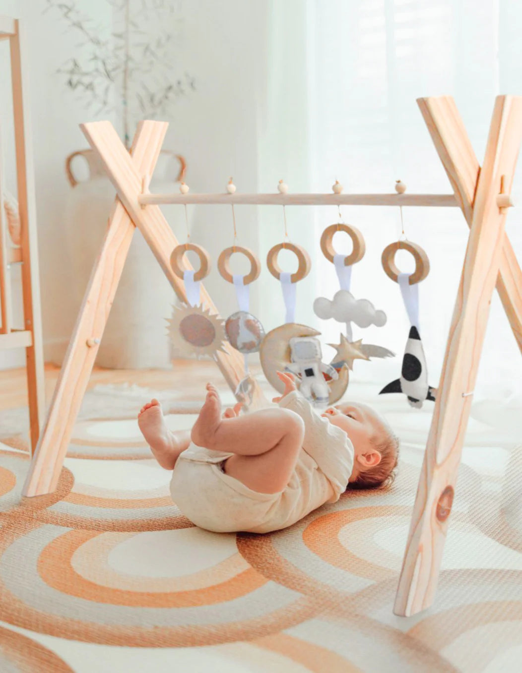 Gimnasio MrFoxh Espacio