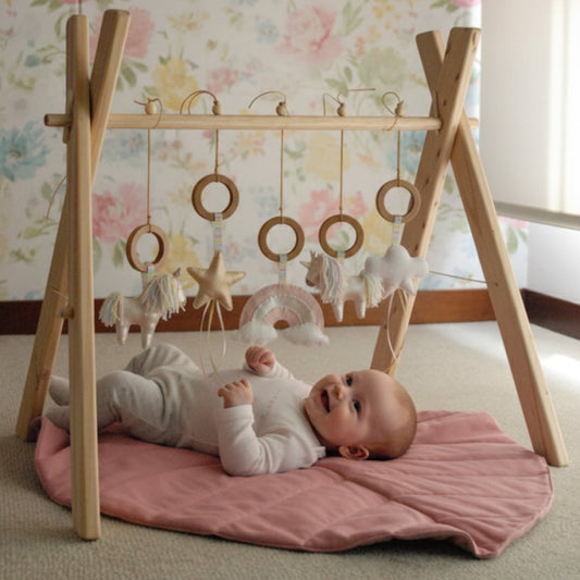 Gimnasio Mr Fox Unicornios