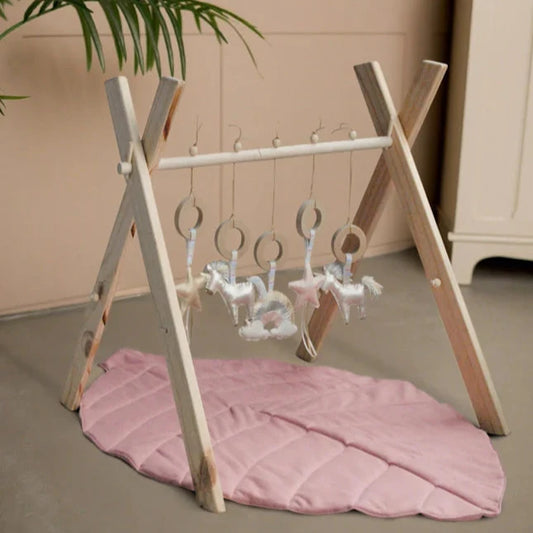 Gimnasio MrFoxh Unicornios