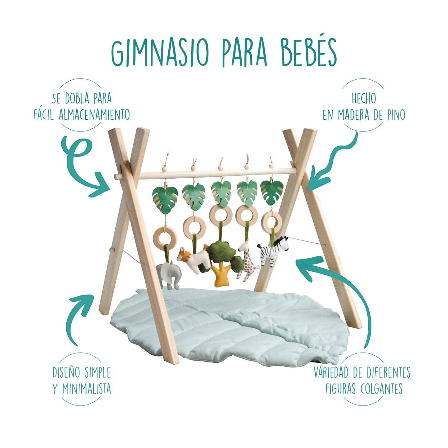 Gimnasio MrFoxh Selva