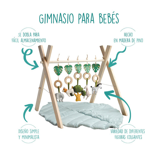 Gimnasio MrFoxh Selva