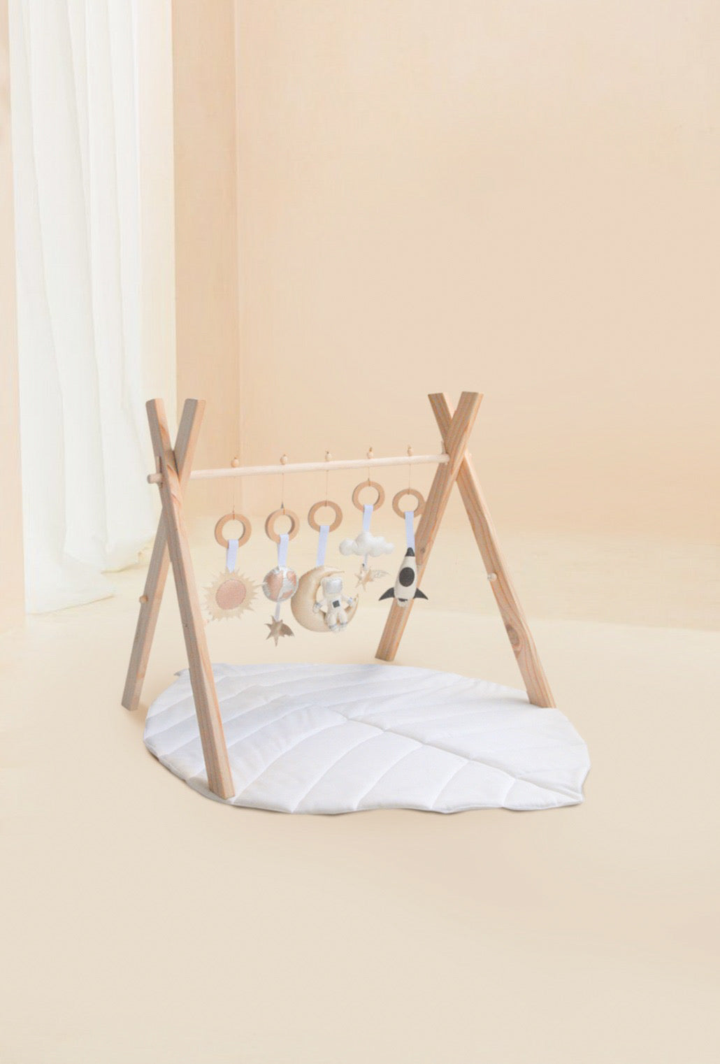 Gimnasio MrFoxh Espacio
