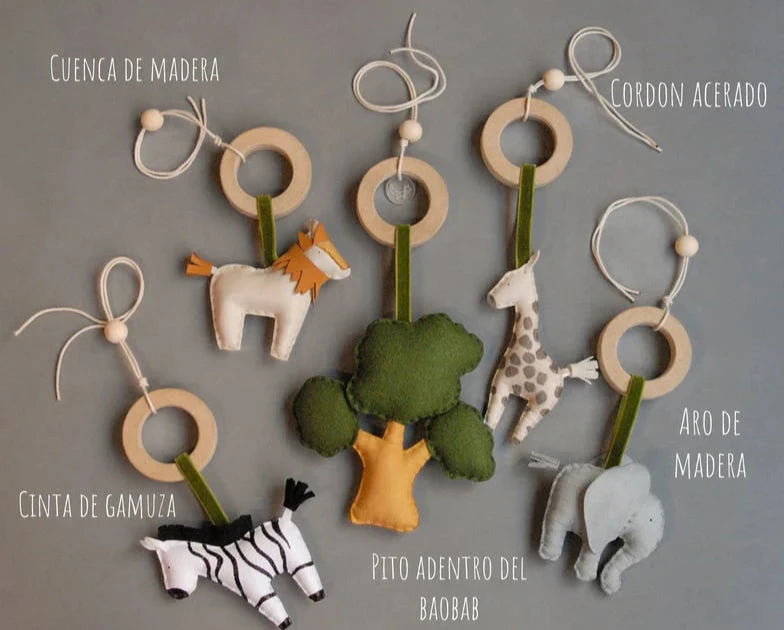 Gimnasio MrFoxh Selva