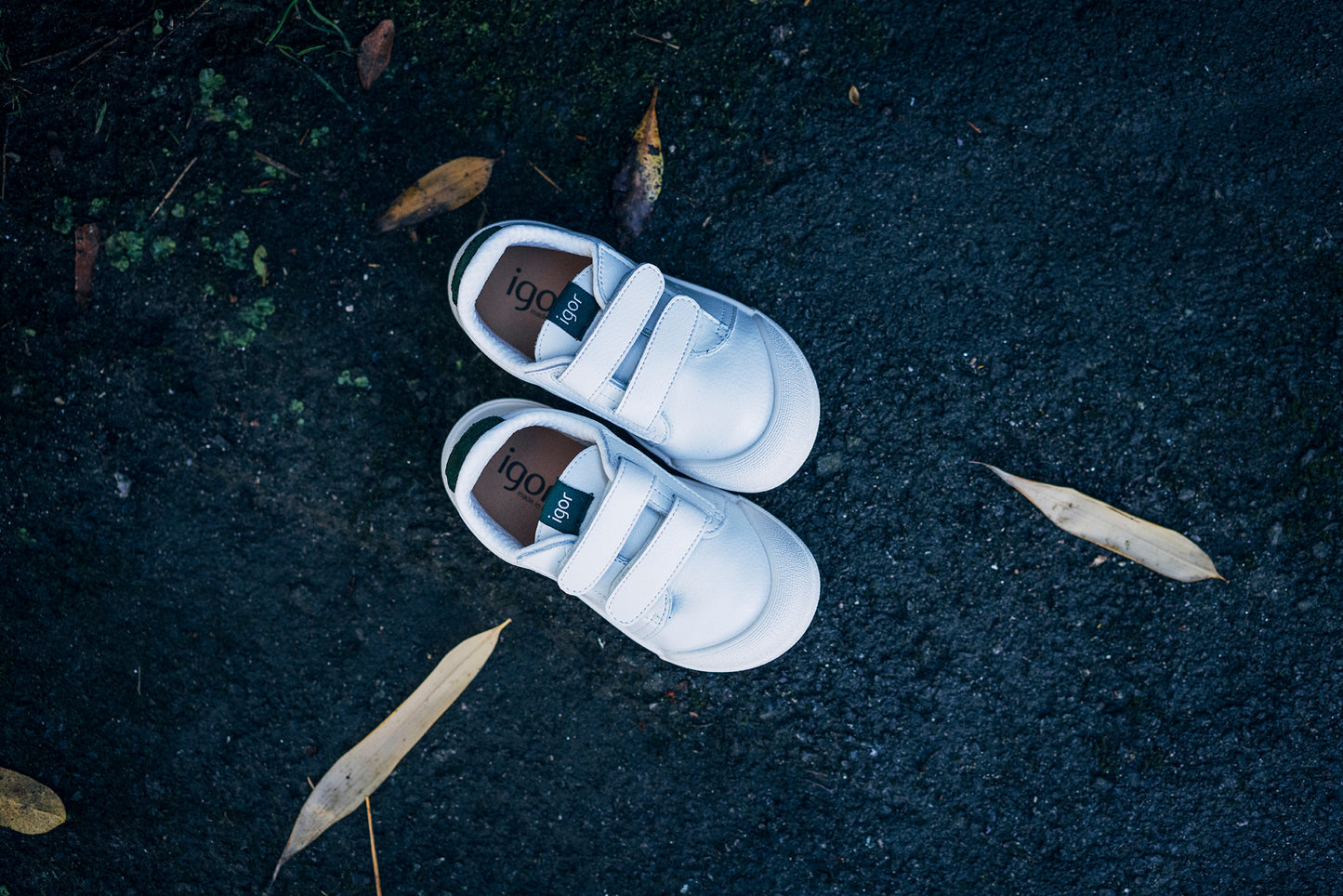 Tennis cuero Igor Musgo