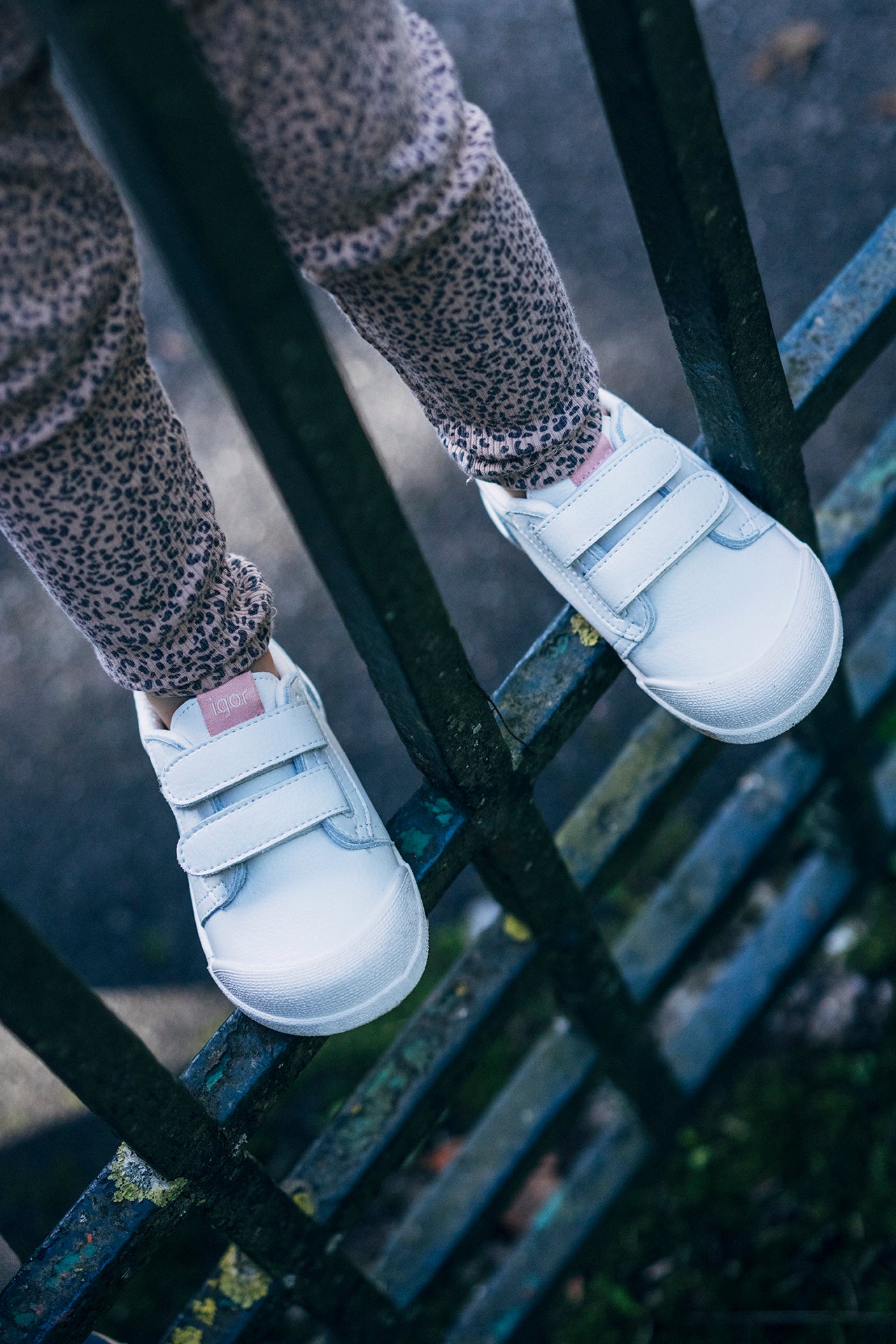 Tennis cuero Igor Rosa