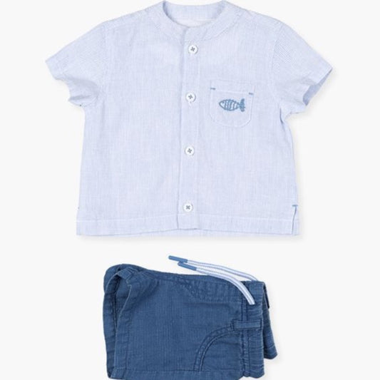 Ropa y accesorios, Camisas y camisetas, Losan