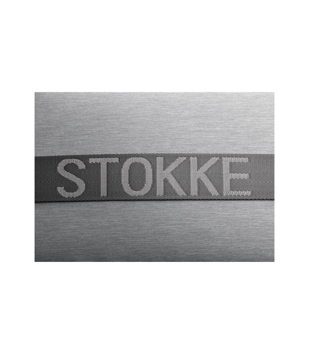 Coche Stokke Xplory X Gris Moderno